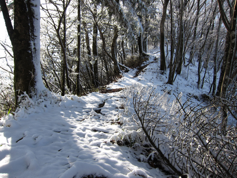 20191129hike (357)